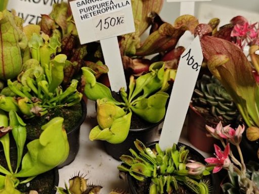 Botanická burza